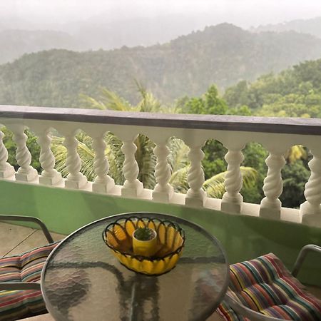 Bed and Breakfast Matthew'S Miracle View Roseau Exteriér fotografie