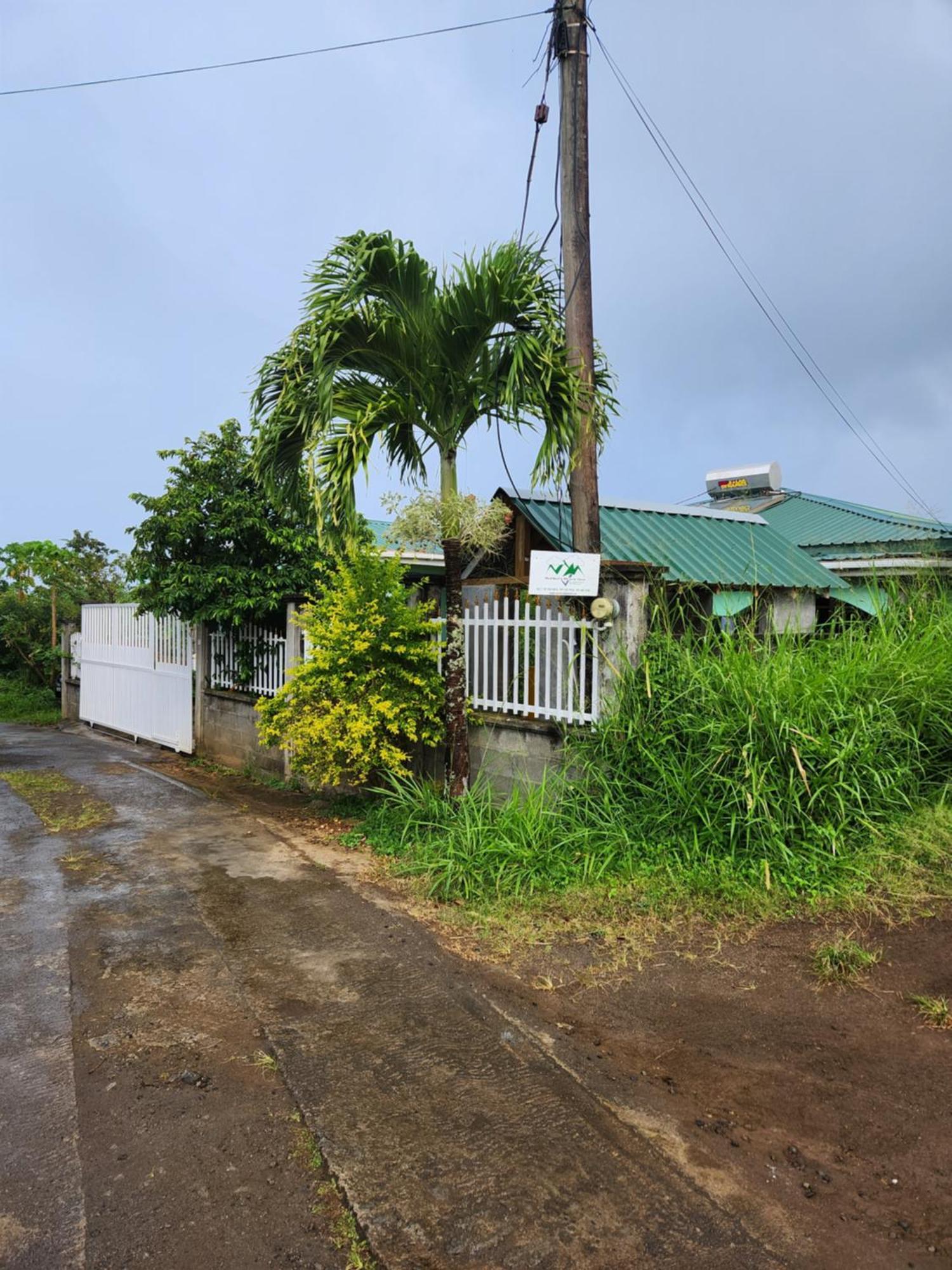 Bed and Breakfast Matthew'S Miracle View Roseau Exteriér fotografie